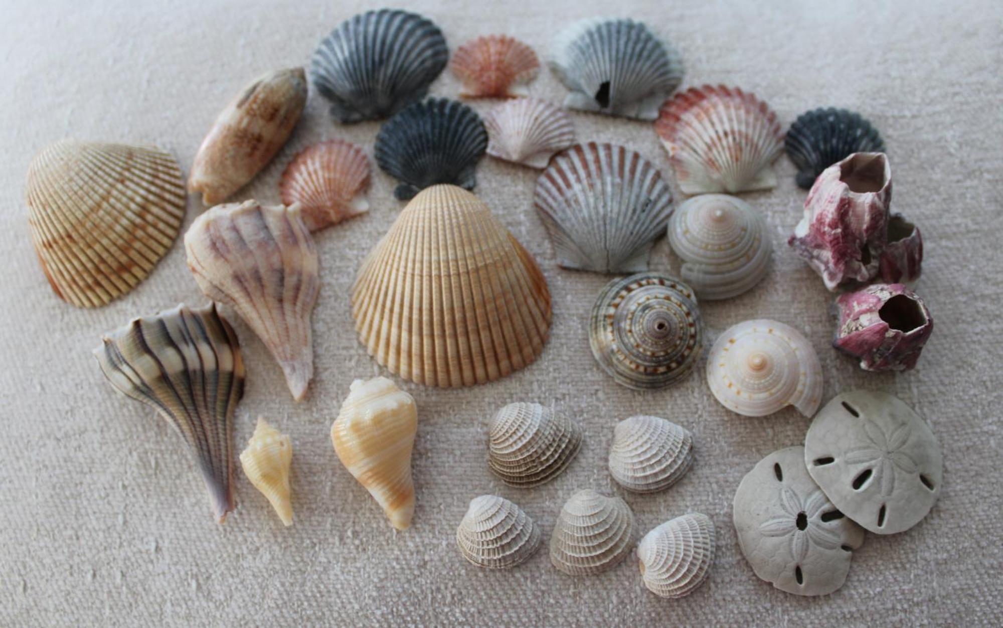 Beach Glass - Island Getaway Corpus Christi Dış mekan fotoğraf